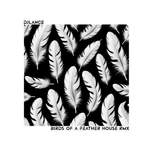 Birds of a feather (Club Mix)